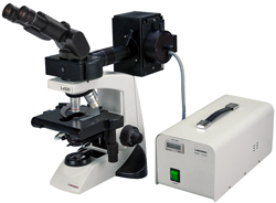 LABOMED Lx500 EPI-fluorescence Research microscope; Ergonomics combined 

with fluorescence. Ideal laboratory research biological microscope. Compare to Olympus CX31, CX41, Leica DME microscope, Leica DMLM 

microscope