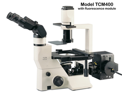 Labomed TCM400 INVERTED Fluorescence Microscope; offers top quality 

fluorescence and phase contrast microscopy. Ergonomic and digital camera options. Features long working distance, true-color plan 

infinity corrected optics.